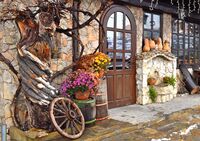 no name ( ID=2569836 ); comments:2