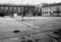 no name ( ID=2569899 ); comments:2