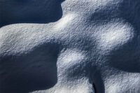 Snow Curves; No comments