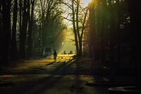 без име ( ID=2569983 ); Коментари:1