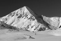 Муратов; comments:6