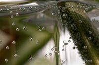 Проникване; No comments