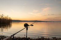 Бургаски залез; No comments