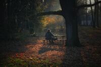 no name ( ID=2570019 ); comments:7