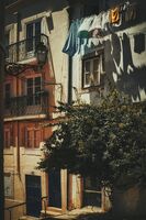 no name ( ID=2570041 ); comments:3