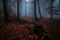 no name ( ID=2570064 ); comments:5