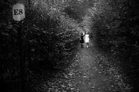 no name ( ID=2570073 ); comments:10