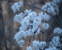 Повет; No comments