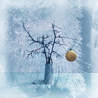 Коледно; comments:5