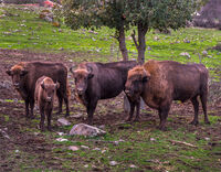 no name ( ID=2570134 ); comments:2