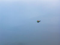 без име ( ID=2570138 ); Коментари:1