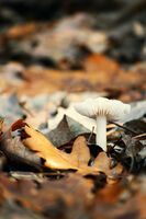 no name ( ID=2570177 ); comments:1