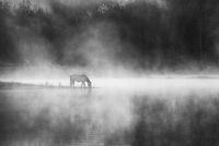 Първа глътка; comments:9