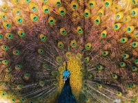 no name ( ID=2570264 ); No comments