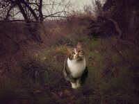 no name ( ID=2570265 ); No comments