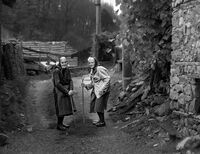 Родопите; comments:4