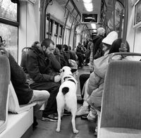 В трамвая; No comments