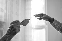 no name ( ID=2570312 ); comments:2