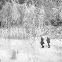 Зима; comments:7