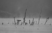 no name ( ID=2570331 ); comments:4