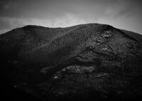 no name ( ID=2570336 ); comments:1