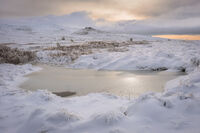 Зимно; comments:2