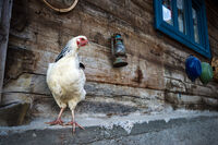 no name ( ID=2570345 ); comments:5