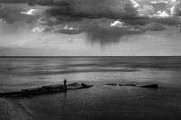 Сам под дъжда; comments:8