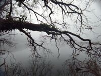 no name ( ID=2570366 ); comments:1