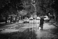 no name ( ID=2570447 ); comments:2