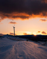 no name ( ID=2570524 ); comments:1