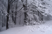 Зимна картина; comments:3