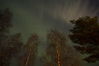 Aurora borealis-1; Няма коментари