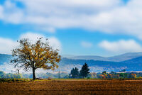 Поля; comments:1