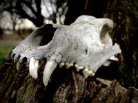 no name ( ID=2570688 ); comments:4