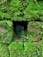 no name ( ID=2570695 ); comments:3