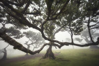 no name ( ID=2570723 ); No comments