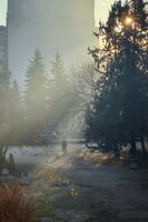 Сутрин; No comments