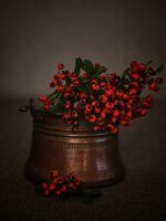 В края на есента; comments:4