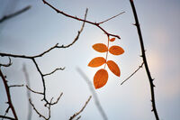 no name ( ID=2570772 ); comments:2