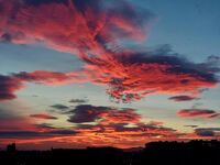 без име ( ID=2570775 ); Коментари:1