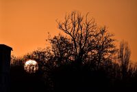 Залезно; comments:1