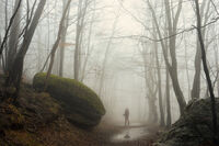 Горе в тихото; comments:1