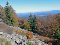 no name ( ID=2570817 ); No comments