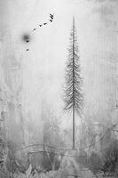 зимна схема; comments:10