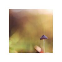 Миниатюра на есента (Elemental); comments:3