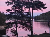 Розов свят; No comments