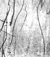 Посоки нанякъде; comments:2