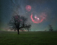 no name ( ID=2570852 ); comments:4