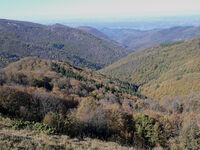 no name ( ID=2570891 ); comments:1